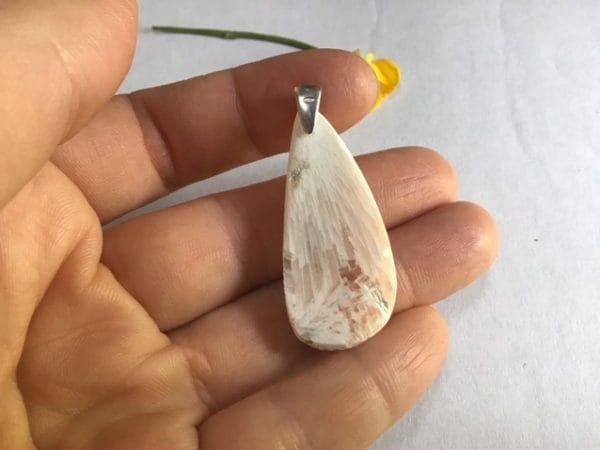 B4DC23A8-A373-440E-9FDA-052EDB16A160