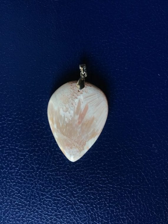 686C287A-0E39-4A43-8A8E-96DAA4018548