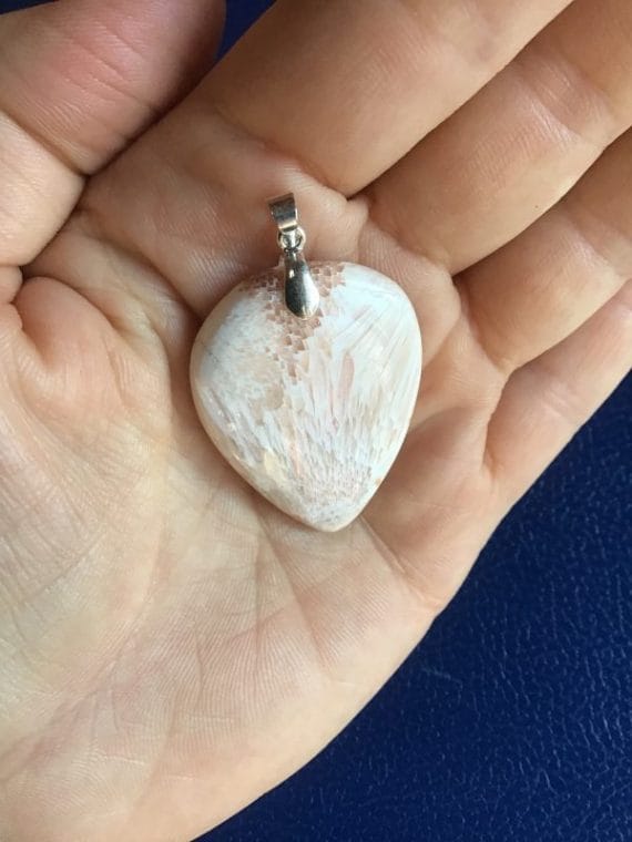 8C694F0E-CC27-4953-8232-0446297D9D4B