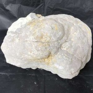 Une star de Geode !
