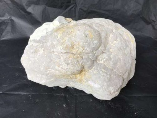 Une star de Geode !