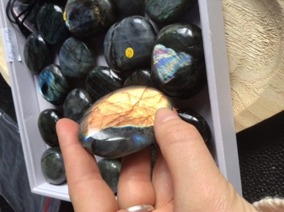 8EB3F207-AC64-481C-A86B-E61676ED8E78