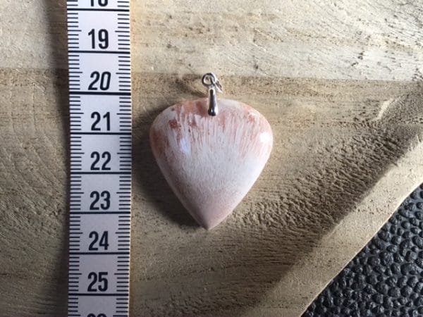 18562427-FABC-4E22-B572-C0E7362515AE