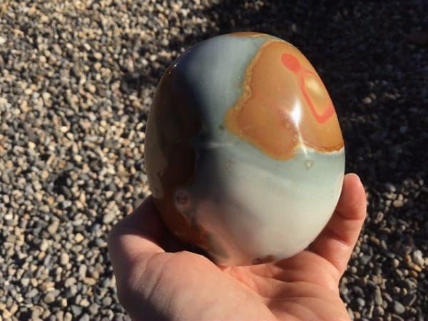 3DAB5772-A840-4D04-8EEE-22236B096FC4