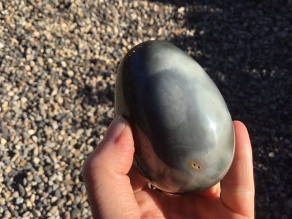 6B53E72B-20E6-4746-9EDF-D746E101381A