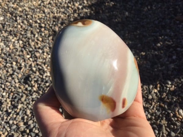 6C1AE7E7-B8AE-40D6-B74A-A5939D9B2854