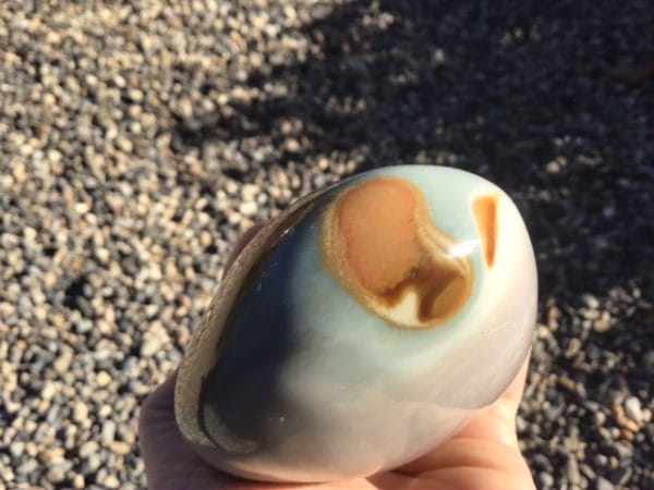 A8E2460E-DFB1-4EDE-ACDD-9098E62F9FE1