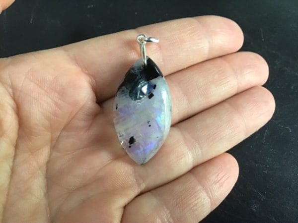 00934BB3-E12A-48B7-9A1A-53B7072358C0