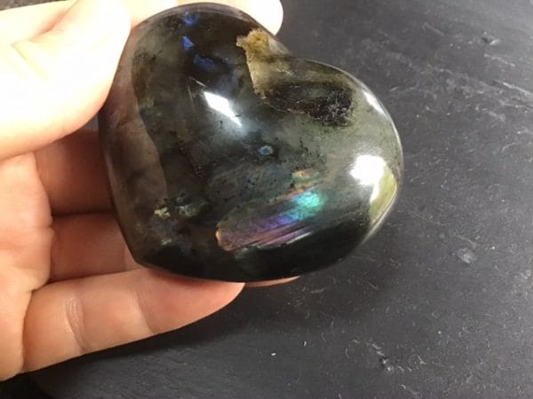 4781C73F-C927-4882-8687-B175079B1006