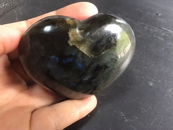 5566C4CD-1BF6-41FF-8C76-DB93BEF3A30A