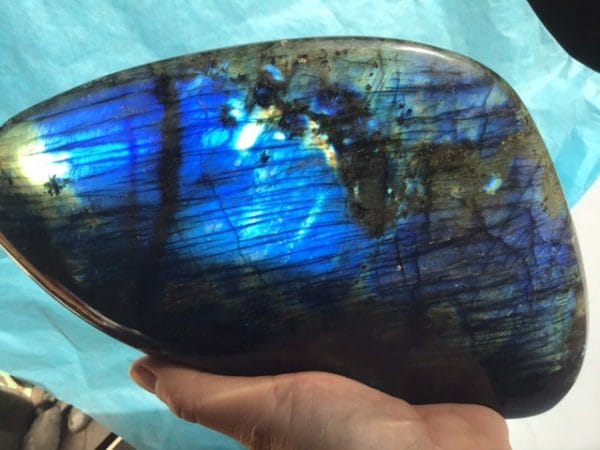 22712E3F-87F9-47FE-A9EC-08AA86539DE0