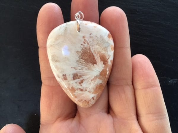 5B5813B4-EE83-46F4-934A-418C0FC6B395