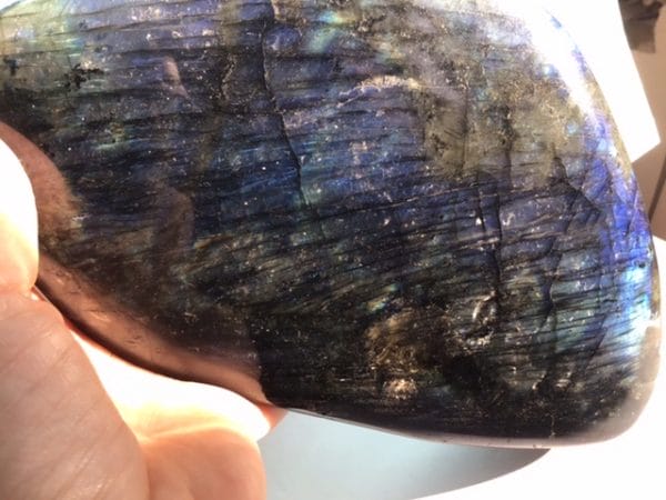 6A1F7270-47A0-49F3-8C62-A92DB6F9CF66