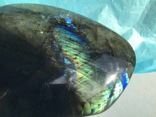 74884731-2F62-44B4-AB58-B63906D43ED9