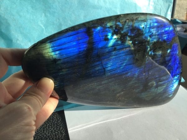 7742C61B-AE31-4E3C-923A-4DEF14D3BCCE