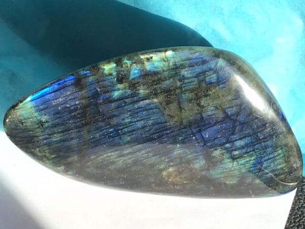 C4C09AA7-A5A0-4F40-8E40-AFC64E593AE6