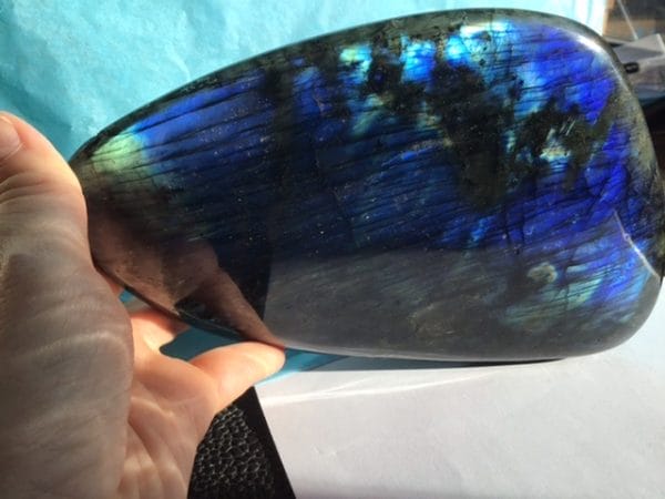 D5917AAF-2F10-4B26-9596-9C0EFA1439D5