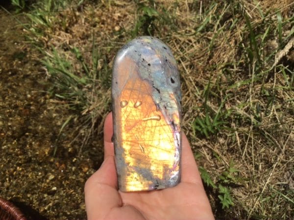 259759FF-DF4E-4FF5-91B7-6619DAD3FF24