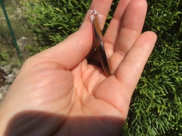 330DAC36-1393-44E4-A171-CFAB7DBD4709