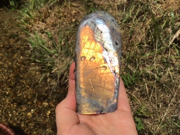 40AAA384-D878-4AF0-8A88-333F0F79B8CE