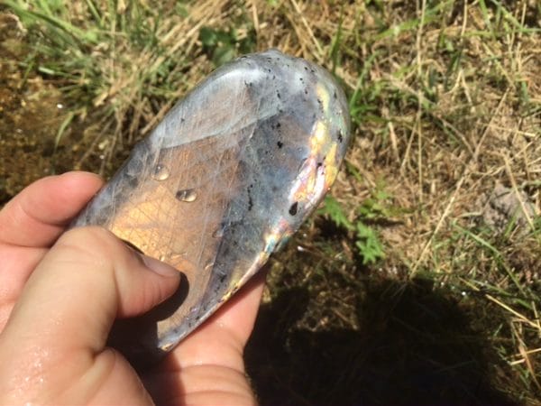 7072C5A3-D696-48EE-B340-0D2CB5750CCC