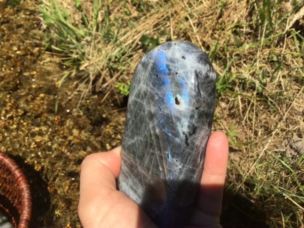 85AA0E70-BFA2-4905-8077-5DC9D9FE5381