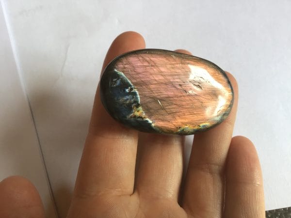 8C901350-AD04-404D-8B8D-A6BC1DBFA430