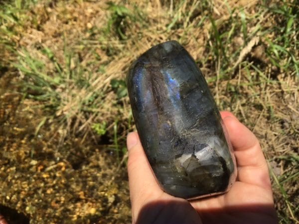 9B0A589B-BE46-4983-88C1-BB8038C71AA6