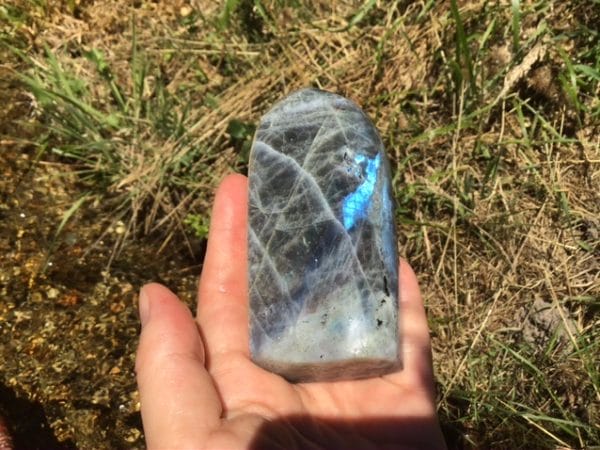 B6AF490C-485F-4A67-A507-44A3F1C88641