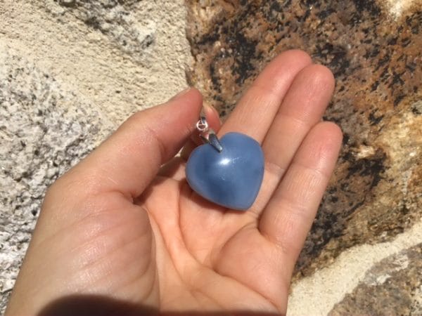 020E5E91-B02E-488D-B021-61B66D1CF955