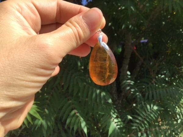 07EB711F-7DDA-4A54-B3B7-65D8F1F2B67D