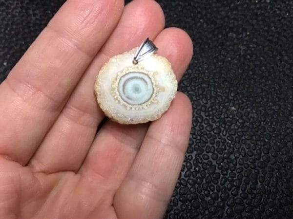 49347059-A248-4EBE-92D6-D2A7F01D5662