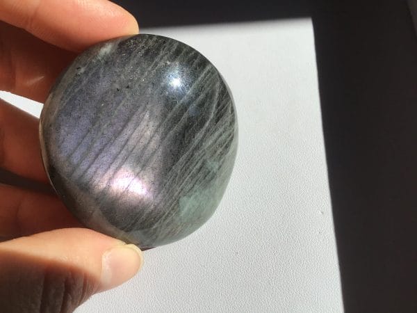 85257187-C09F-40E9-8EE8-2DC55B92504C