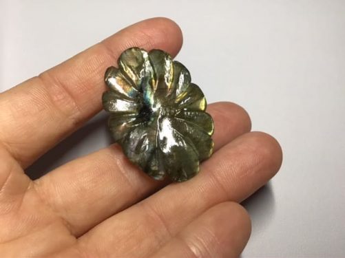 Fleur d’ automne