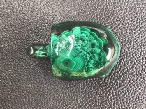 Tortue malachite