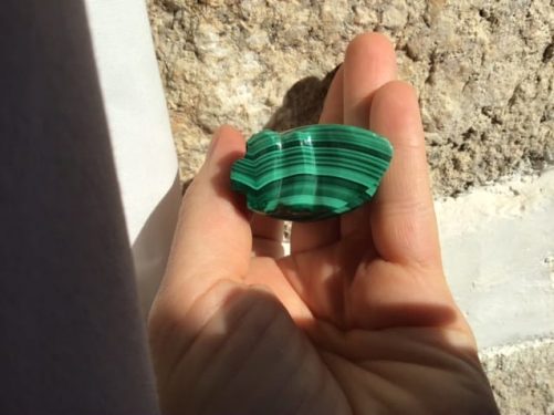 Hibou chouette malachite