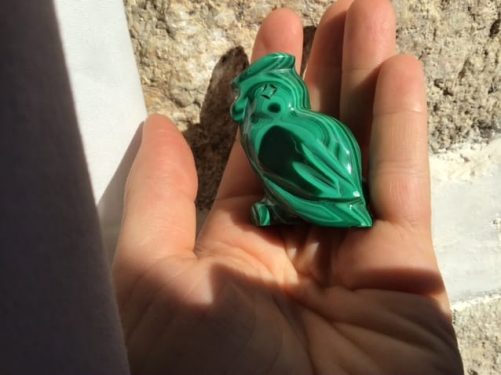 Hibou chouette malachite