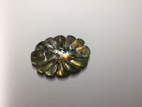 Fleur d’ automne