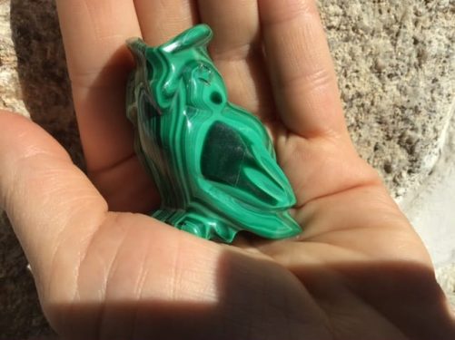 Hibou chouette malachite