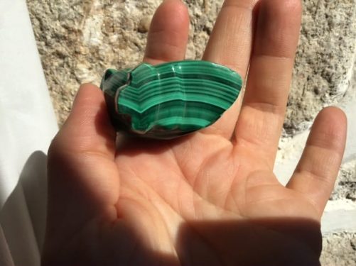 Hibou chouette malachite