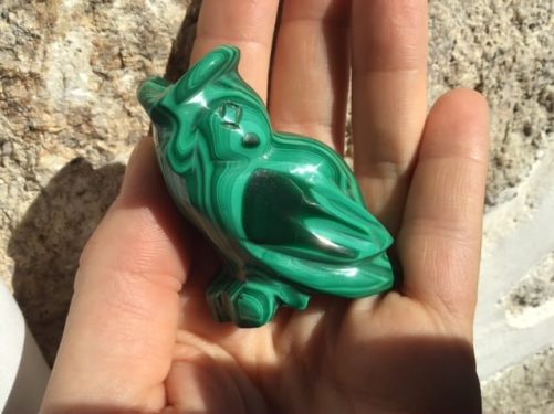 Hibou chouette malachite