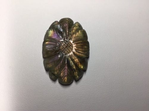 Fleur d’ automne