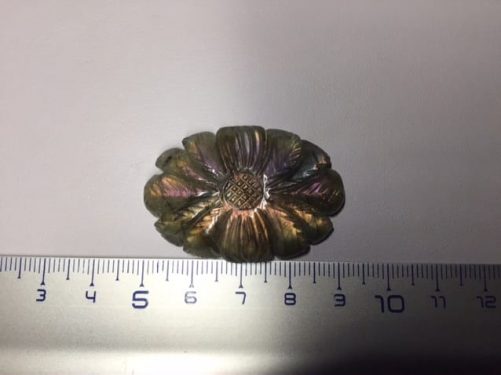 Fleur d’ automne