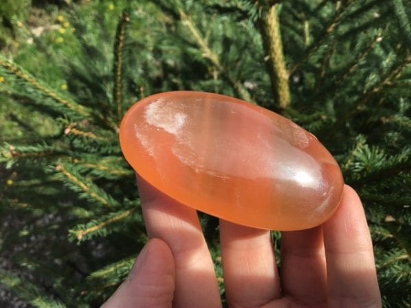 A5D3D396-D583-449C-B15A-DB4C2BE47392