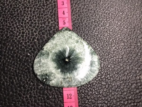 AD8B490F-6185-4C2C-AA50-C359E10E9446