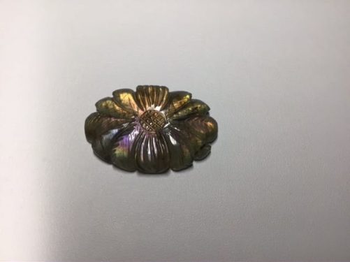 Fleur d’ automne