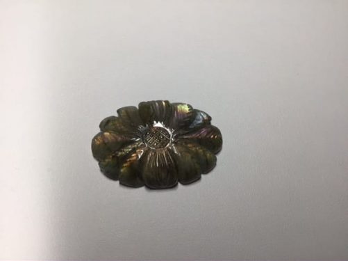 Fleur d’ automne