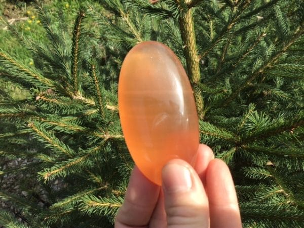 CE506152-83BD-4F85-8792-C0093AE6580C