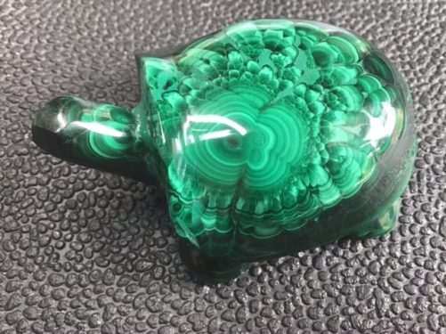 Tortue malachite