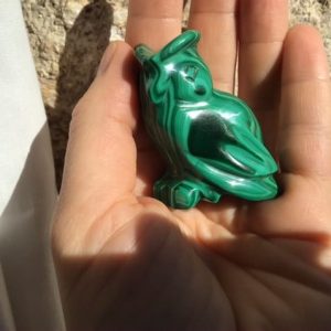 Hibou chouette malachite
